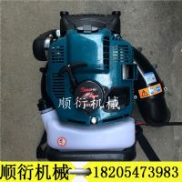 遠處地面馬路吹掃機 內(nèi)燃手推式吹風機